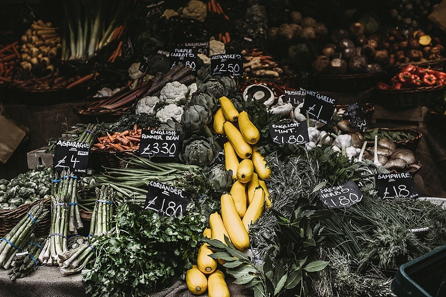 食品垃圾包裝,替代包裝材料